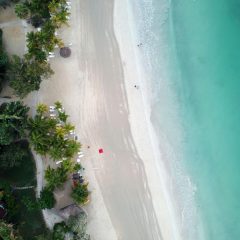 Exciting News: Join Me on Our Trip to Negril, Jamaica!