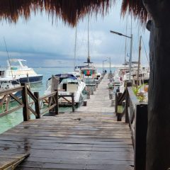 Beach Bar Bums: The People Watching Doesn’t Suck